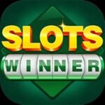 slots winer