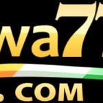 WhatsApp Image 2026-02-13 at 8.10.28 PM