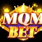 MQM Bet App Download India 2026 MQM Pet Android And How To Store Lose Get Bonus And Play Online